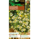 Rumianek pospolity/Matricaria chamomilla/ Legutko