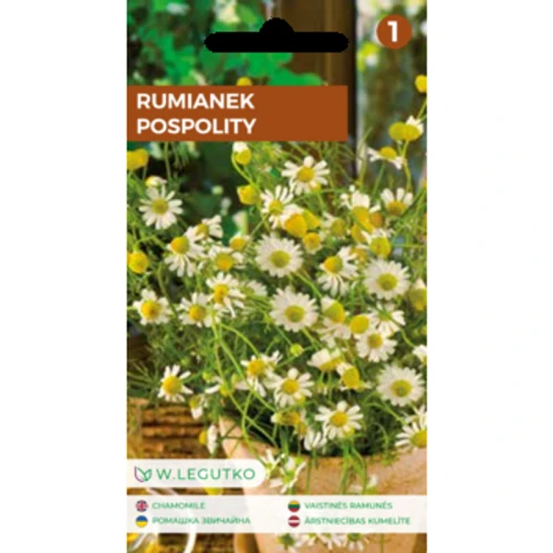 Rumianek pospolity/Matricaria chamomilla/ Legutko 1775832080489-rnj8a.png