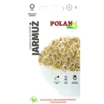 Nasiona na kiełki Jarmuż