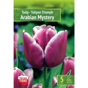Kapers Tulip - Tulipan Arabian Mystery 11/12 5 Szt.