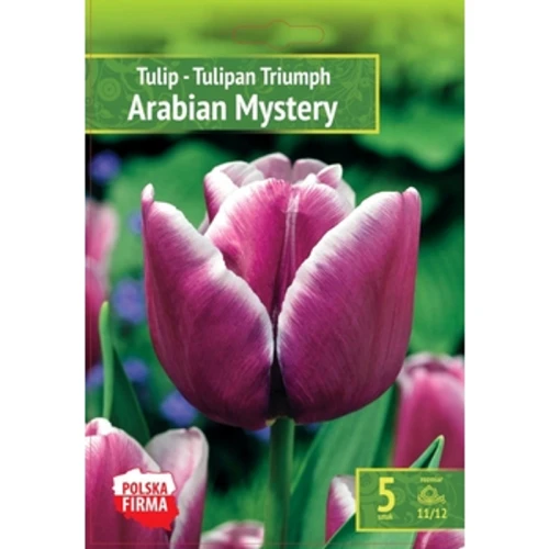 Kapers Tulip - Tulipan Arabian Mystery 11/12 5 Szt. 1775832183081-xfwuc8.png