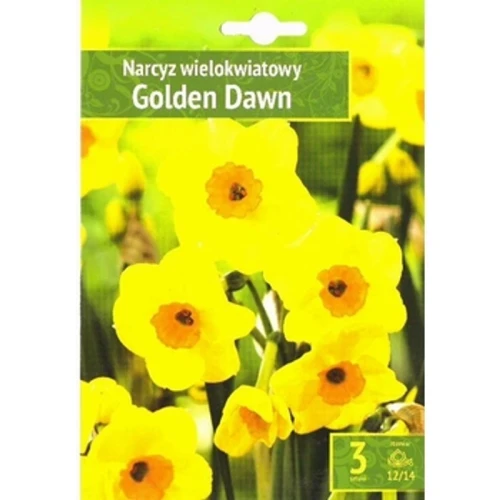 Kapers Narcissus - Narcyz Golden Dawn 12/14 3 Szt. 1775832315812-izdh7r.png