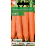 Marchew jadalna/Daucus carota/Nantes 3/pomarańczowe/ Legutko