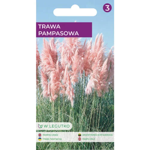 Trawa pampasowa/Cortaderia selloana/-/różowe/ Legutko 1775832361828-v2l8pc.png