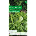 Sałata/Lactuca sativa/Regina dei ghiacci/zielone/ Legutko