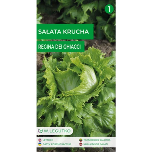 Sałata/Lactuca sativa/Regina dei ghiacci/zielone/ Legutko 1775832365566-pnuf8t.png