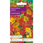 Nasturcja niska/Tropaeolum majus nanum/-/mieszanka/ Legutko
