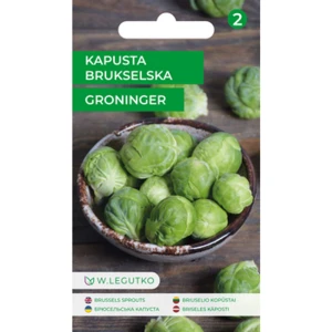 Kapusta brukselska/Brassica oleracea var. gemmifera/Groninger/ Legutko