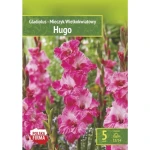 Kapers Gladiolus - Mieczyk Hugo 12/14 5 Szt.