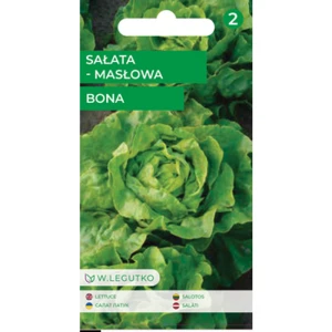 Sałata/Lactuca sativa/Bona/zielone/ Legutko