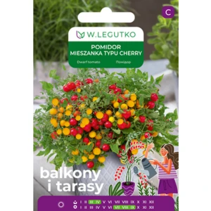 Pomidor/Solanum lycopersicum/mieszanka odmian typu cherry/mieszanka Legutko