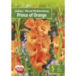 Kapers Gladiolus - Mieczyk Prince of Orange 12/14 5 Szt.