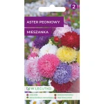 Aster chiński/Callistephus chinensis/-/mieszanka/ Legutko