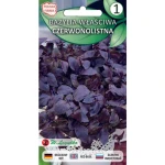 Bazylia właściwa/Ocimum basilicum/-/czerwone/ Legutko