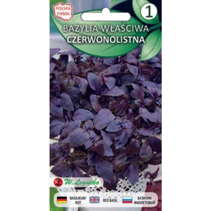 Bazylia właściwa/Ocimum basilicum/-/czerwone/ Legutko