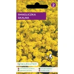 Smagliczka skalna/Alyssum saxatile/-/żółte/ Legutko