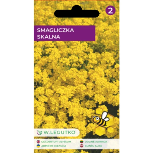 Smagliczka skalna/Alyssum saxatile/-/żółte/ Legutko 1775832803858-i0qwq.png