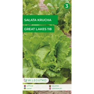 Sałata/Lactuca sativa/Great Lakes 118/zielone/ Legutko