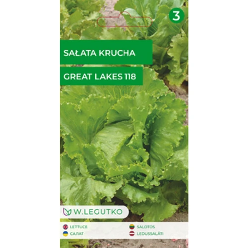 Sałata/Lactuca sativa/Great Lakes 118/zielone/ Legutko 1775832836792-cidg5k.png