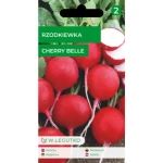 Rzodkiewka/Raphanus sativus var. sativus/Cherry Belle/czerwone/ Legutko