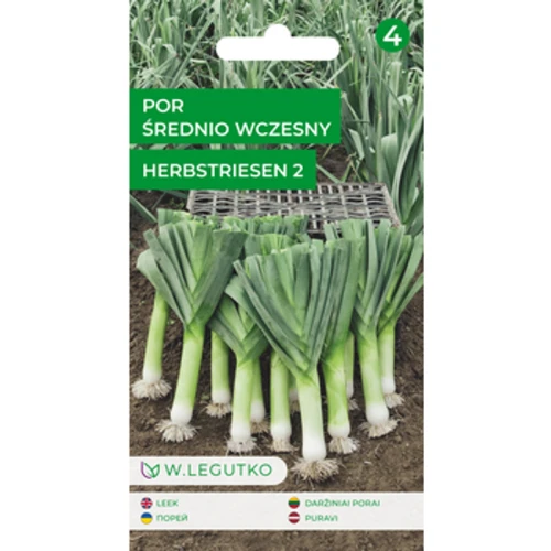 Por/Allium porrum/Herbstriesen 2/ 1775832885504-kb9x5w.png