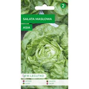Sałata/Lactuca sativa/Asia/zielone/ Legutko