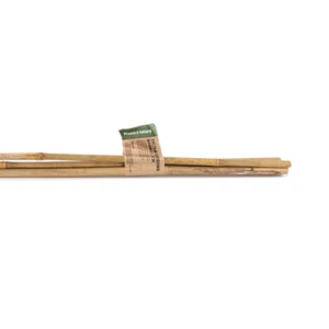 Tyczka ogrodowa bambusowa 90 cm (4 szt)