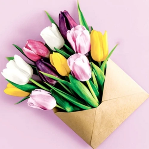 Paper + Design Serwetki 3 warstwowe 33x33 cm Garden Greeti 20 szt. 1775823801659-83n0vj.png