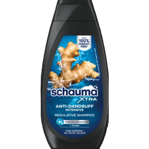 Schauma Men Szampon Anti-Dandruff Intense 350 ml image-editor%2Fzip-import%2F1776698382077-1510-2723d4d17c80.png