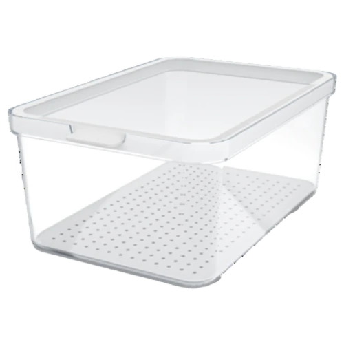 Organizer do lodówki Cauma 4,65L Rotho image-editor%2Fzip-import%2F1776698382077-1556-8baae431d0d7.png