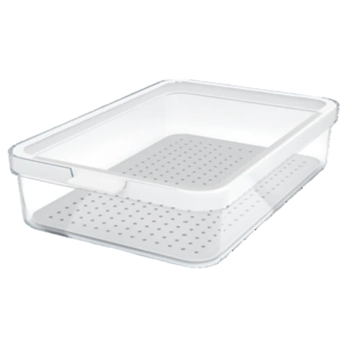 Organizer do lodówki Cauma 2,6L Rotho image-editor%2Fzip-import%2F1776698382077-1561-ac5960fc0dce.png