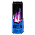 Burn Fruit Punch 250 ml (promocja)