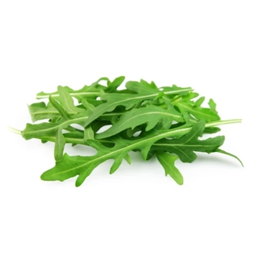 Sałata Rukola Klasa I Włochy 125g 1776869500811-lx2fwa.png