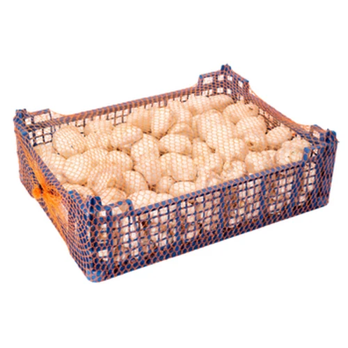 Pieczarka Horeca Polska 3kg 1776869537026-zwp0uu.png
