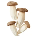 Eryngii Polska 500g
