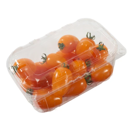 Pomidor Daktylowy Pomarańczowy Gałązka Klasa I Włochy 500g 1776869558975-amm3ro.png