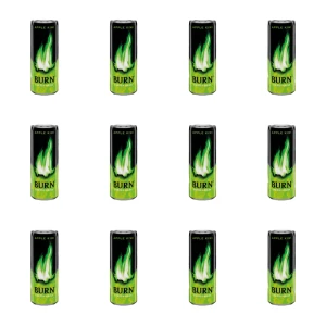 Burn Apple Kiwi 250ml X12