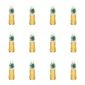 1773272886252-7573-2-x12-66qpolh.png