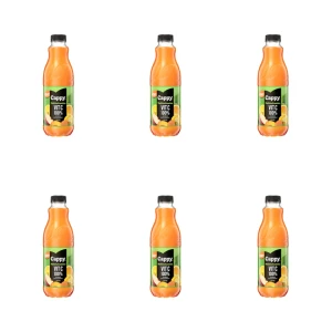Cappy nektar multiwitamina 1L X6