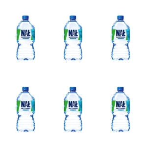 Nałęczowianka Naturalna woda mineralna niegazowana 1 l X6