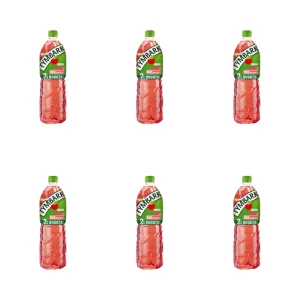 Tymbark Napój jabłko arbuz 2 l X6