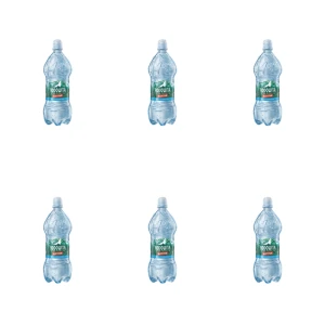 Rodowita z Roztocza Active Naturalna woda mineralna niegazowana 1L X6
