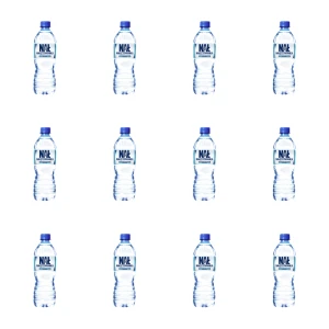 Nałęczowianka Naturalna woda mineralna niegazowana 0,5 l X12