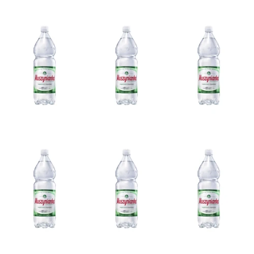 Muszynianka Naturalna woda mineralna częściowo odgazowana, wysokozmineralizowana, niskonasycona CO2 1,5 l X6 1773273037722-7837-2-x6-zbo6kj.png