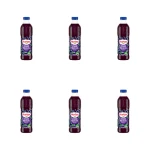 Hortex Nektar czarna porzeczka butelka aPet 1 l X6