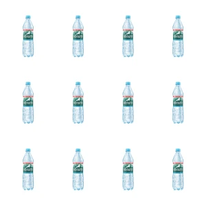 Rodowita z Roztocza Naturalna woda mineralna niegazowana 0,6L X12