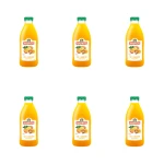 ANDROS Produkt do picia z owoców egzotycznych 1 l X6