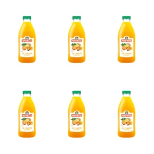 ANDROS Produkt do picia z owoców egzotycznych 1 l X6