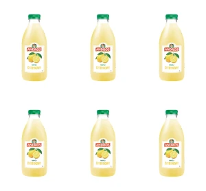 Andros Pasteryzowany produkt do picia cytrynowy 1 l X6