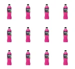 Hortex Wowoc napój gazowany Pitahaja, liczi i mięta butelka 500ml X12